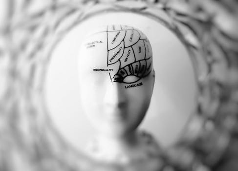 BRAIN