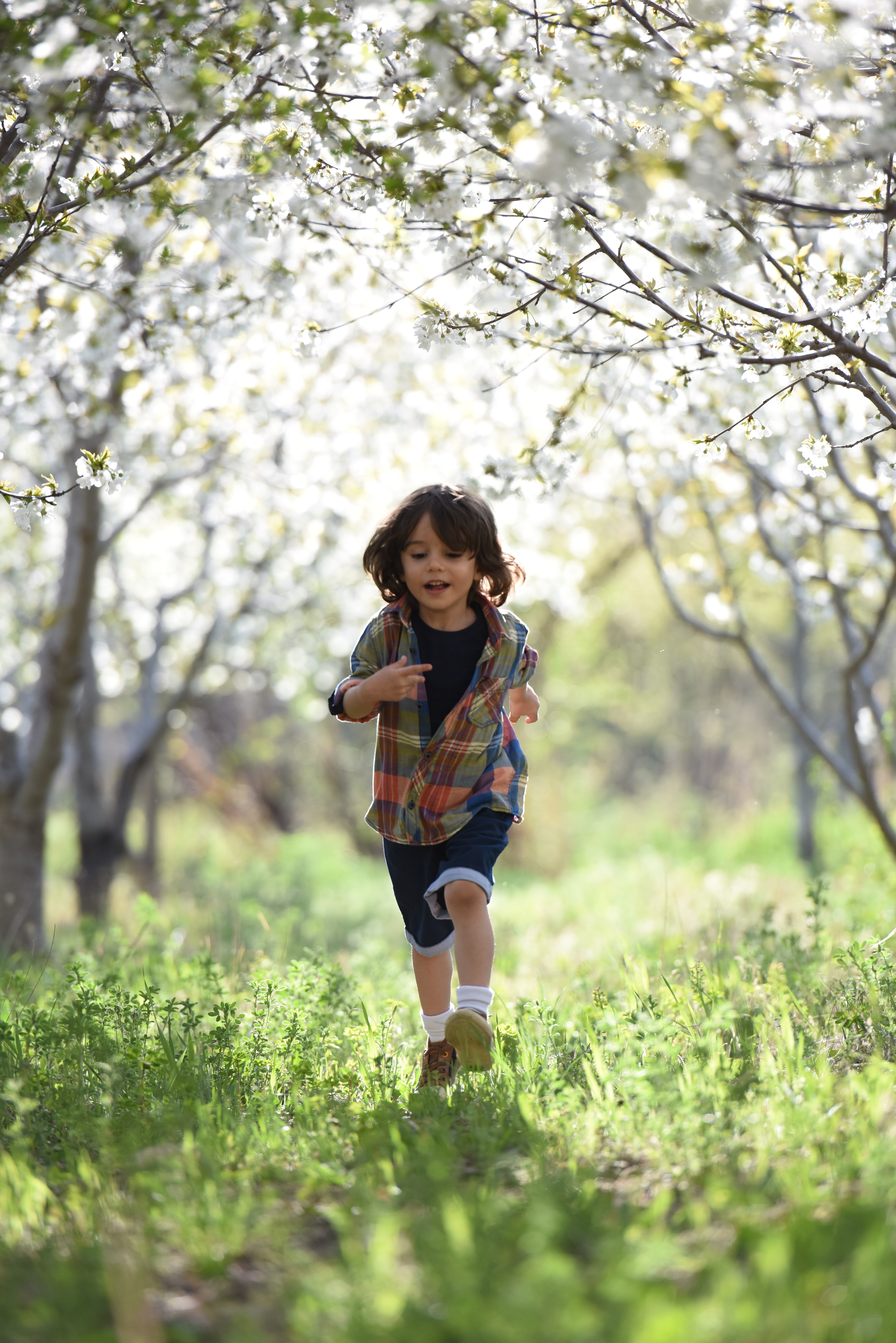 blurred-background-boy-child-1416736